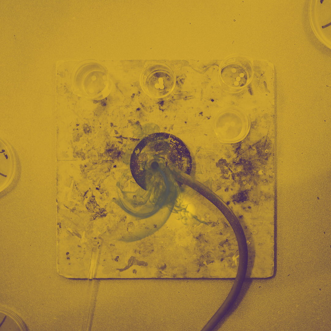 Black Fire Experiment Under SOX LPS Sodium Light – Black Dye Appears as Black Flames in 589nm Monochromatic Amber Light